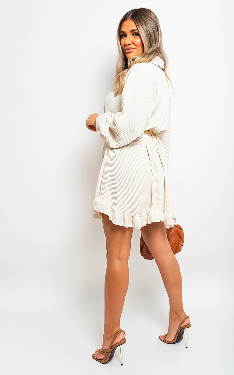 SOFIA Long Sleeve Pleated Button Up Mini Dress